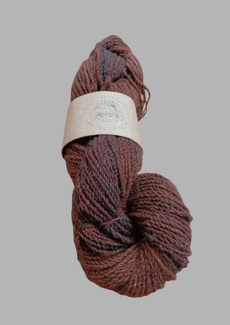 Wielkopolska - chesnut