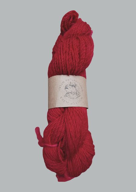 Wielkopolska - scarlet rose